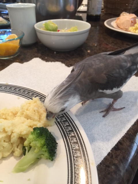 Time to start sequestering.