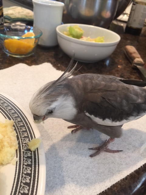 Well, it is nice to meet you too!