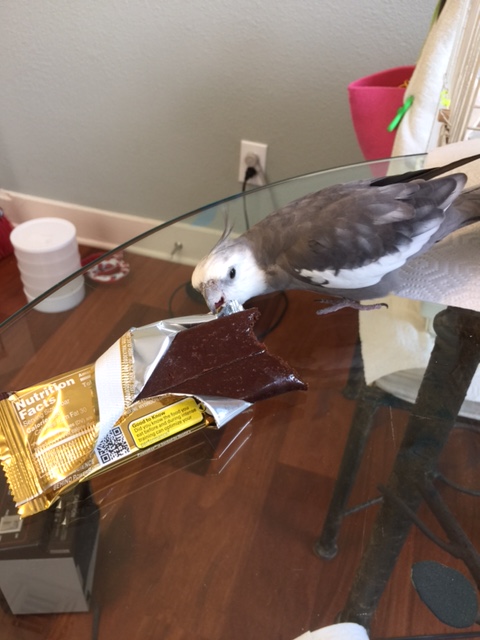 Well, you wouldn't be my choice, that's for sure.