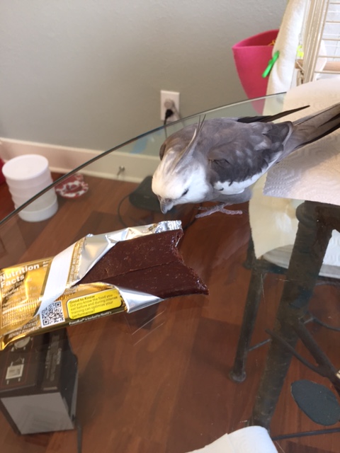 Look. Just go back and get a waffle bribe. Then you can come back and we'll renegotiate.