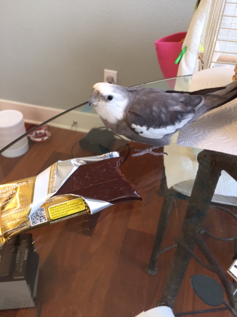 Mom? This being claims to be heading for your lunch plate. Do you know anything about this?