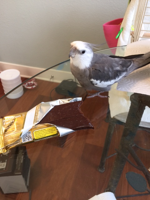 "Mom's lunch?" A likely story.