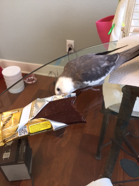 Did you at least bring a waffle bribe?