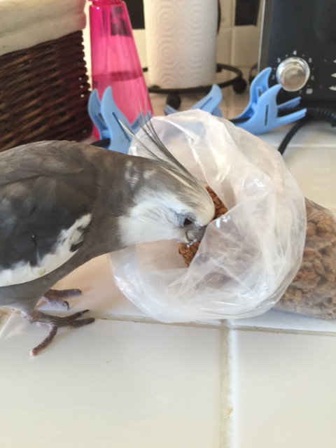 This is one of my favorite dishes - it was such a good idea to order it in bulk.