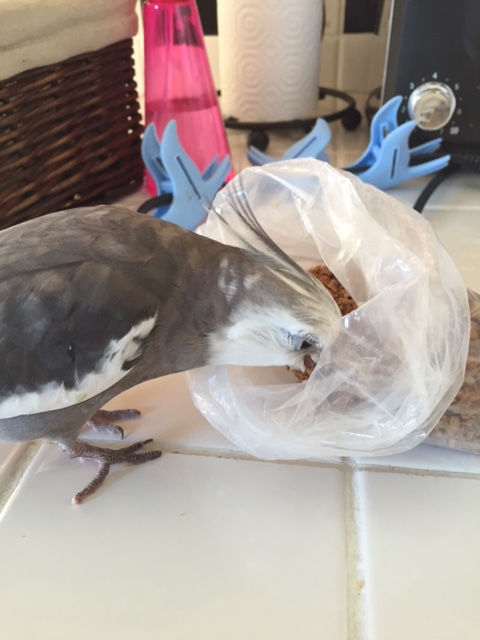 This way I can enjoy some whenever I feel like it without having to retrain the waitress at every meal. 