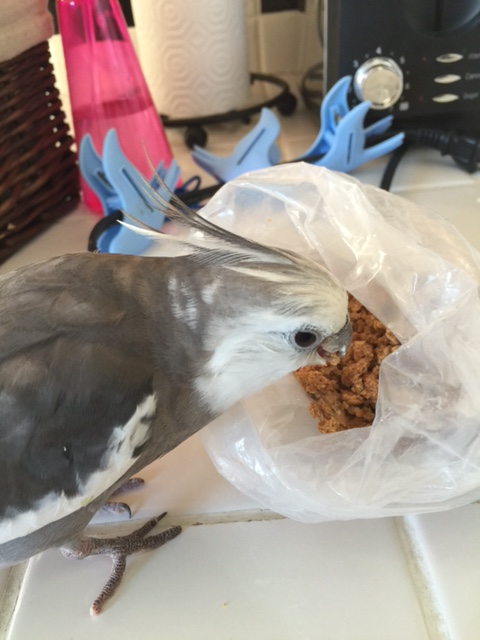 Speaking of which....."no, Mom. FIRST I dine, and THEN you clear my plate away." Got it?