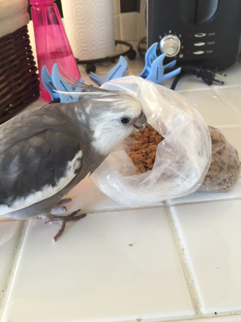 So maybe it won't completely eliminate my training duties....