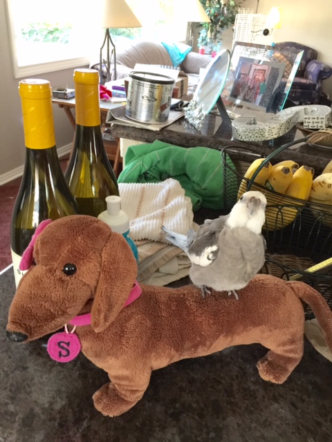 First, let's do a "cute" shot (to soften the beta up a bit).