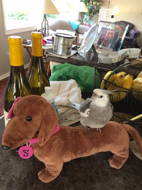 Ok, Mom - I'm ready when you are!