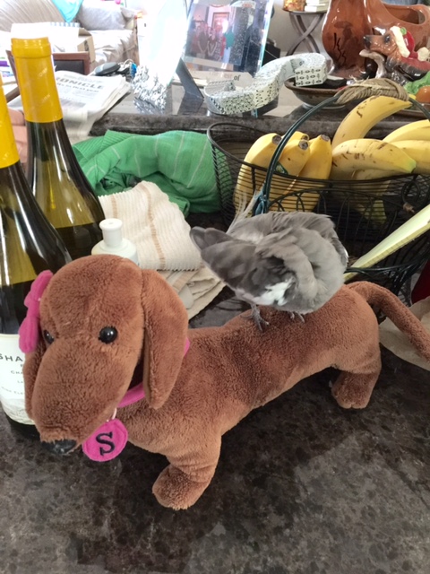 And just one more (for good measure).