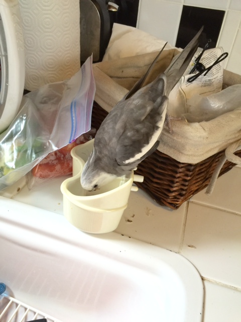 You stay put - yes, you....and you too. I'll be right back.