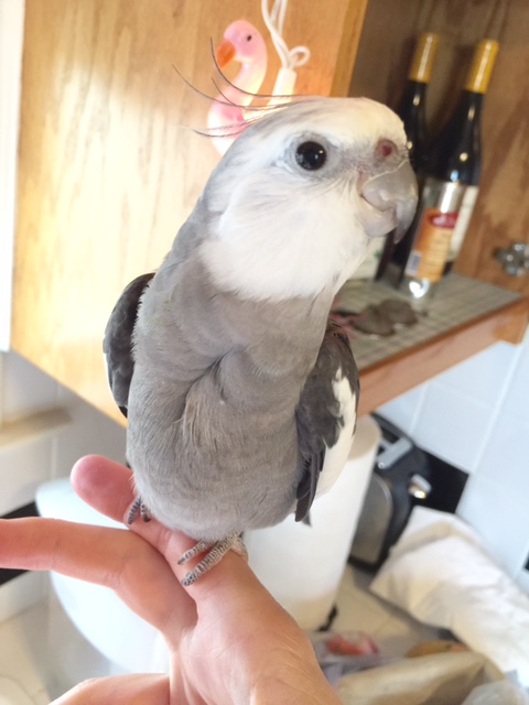 A photo of my other cutest side? Of course!