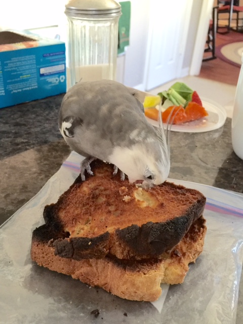 I will start taking bites like this.