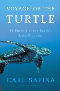 VoyageofTurtleREV31-197x300