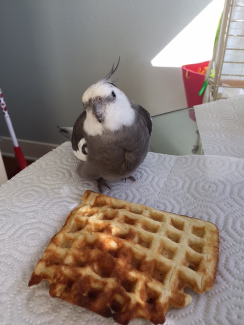 Okay, well, can I eat it after we do the photo shoot?