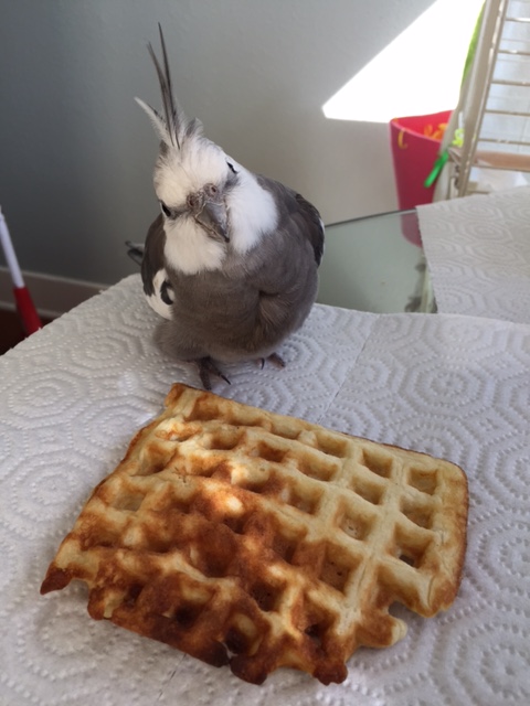 Mom, I'm really hungry....