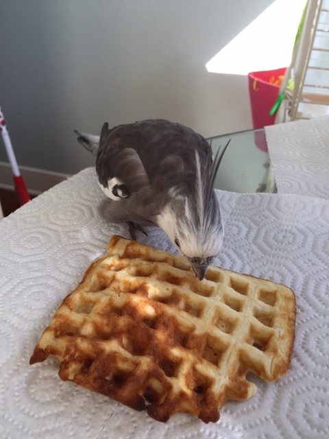 Now look here. No "spotlight stealing" this time....or I may take my lunch early today.