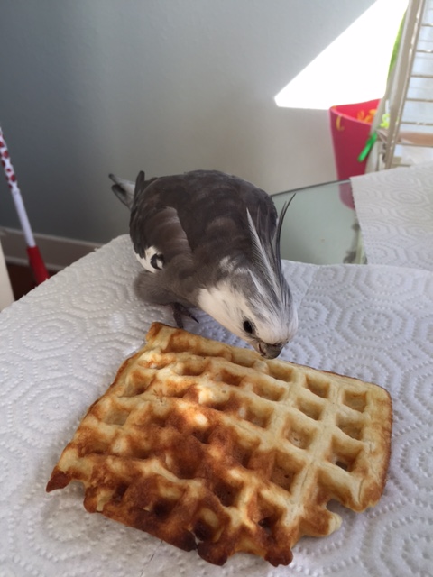 Let's do a test shot for lighting...