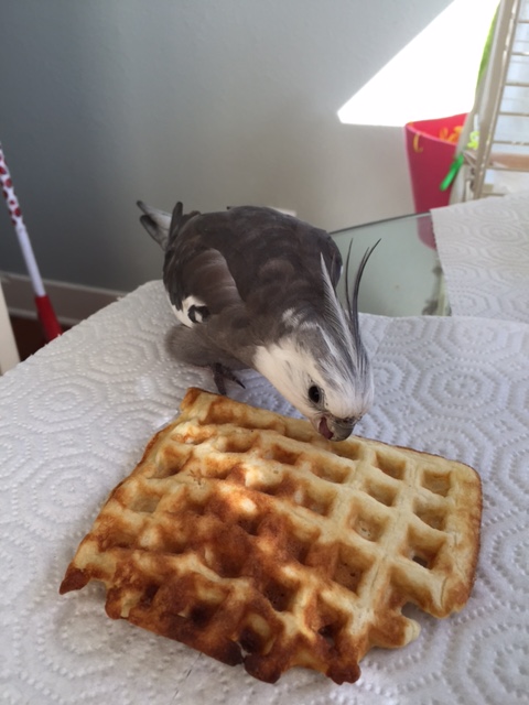 Okay - who's stealing the spotlight now, huh? HUH?