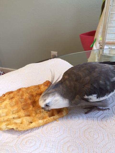 Oh waffle, I love you so much!