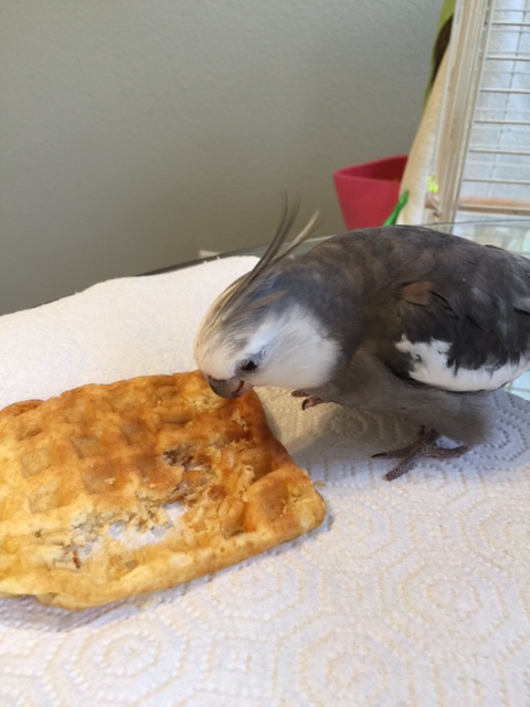 You are the most delicious out of all dishes.