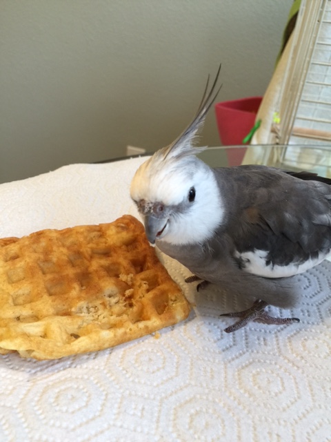 I want all my photo shoots to be with you.