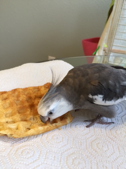 You have the most delectable flavor.