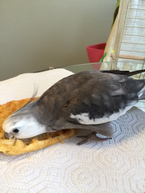 Your perfume is the headiest aroma.