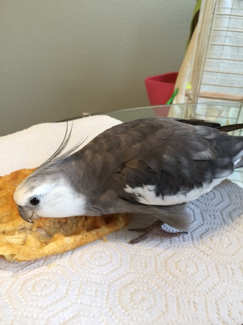 I could gaze at you all day.