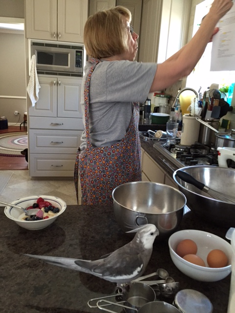 Aha! Grandma's got all her shiny things out and she's standing near the waffle-maker. 