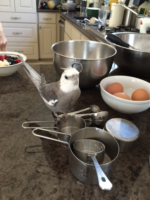 It's okay! You don't need to be scared - it's me! You can come out now!