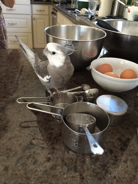 Come out, come out wherever you are.....