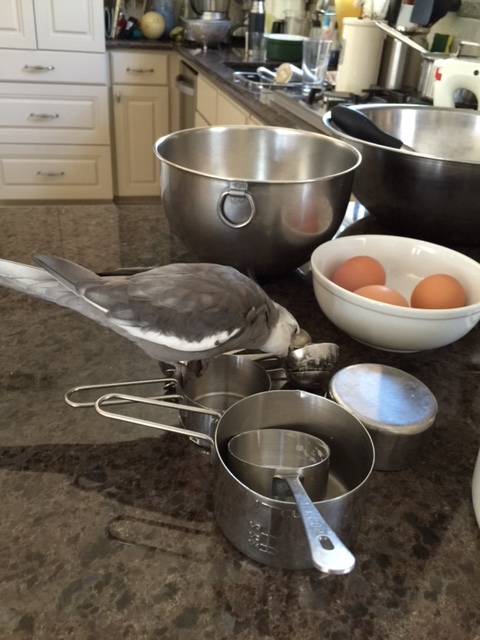 Waffles....oh wafffffllllesssss.....