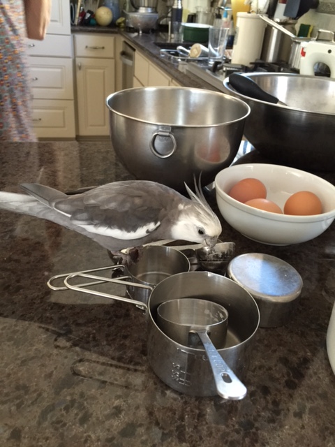 I'll just start looking for them.