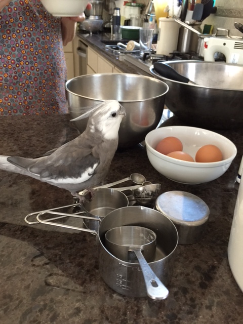 There must be waffles around here somewhere!