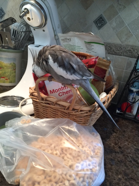 Well, that was just delicious. Now I'm ready for some after-dinner wicker.