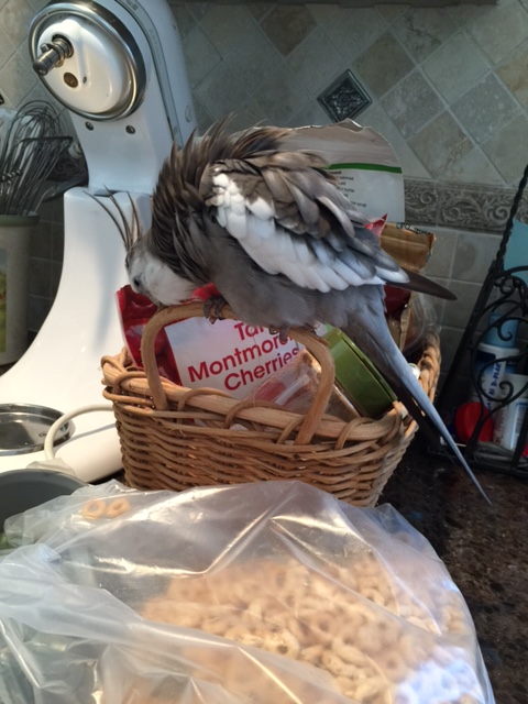 Maybe I'll just have a smidgen more wicker to clear my palate.