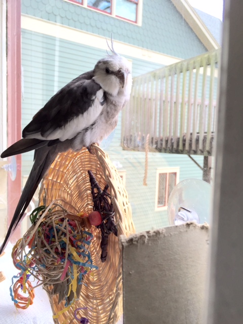 Okay, Mom, you can open the bidding.