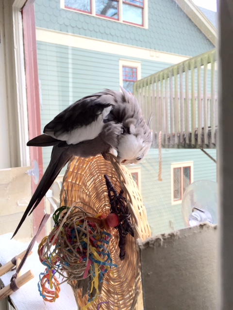 I think with just a few more tweaks, this piece will be perfect.