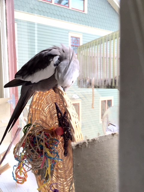 I already know the fans are going to love it.