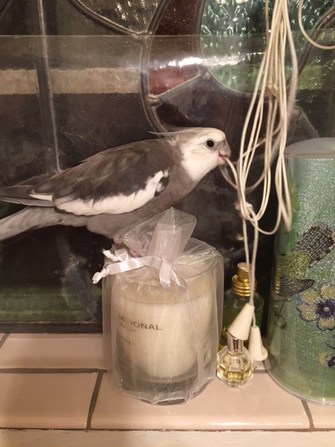 So I have some bad news....