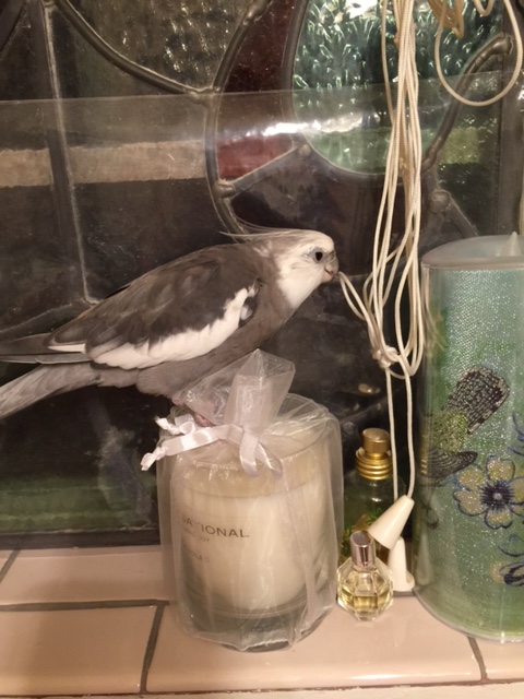 You don't like waiting in line for waffles? Well, I can certainly understand that.