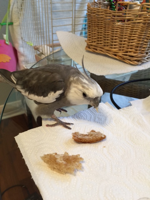 Well, well, well. What do we have here?