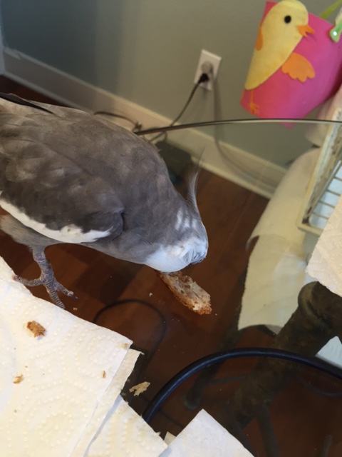 So overall I'd say you are crunchy and delicious, except for your obvious self-esteem issues....