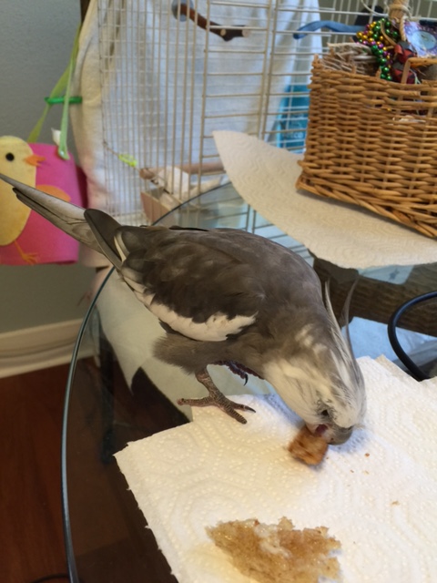 You look crunchy and delicious. Are you?