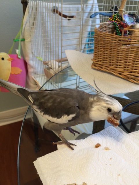 You don't know? We'll see about that!