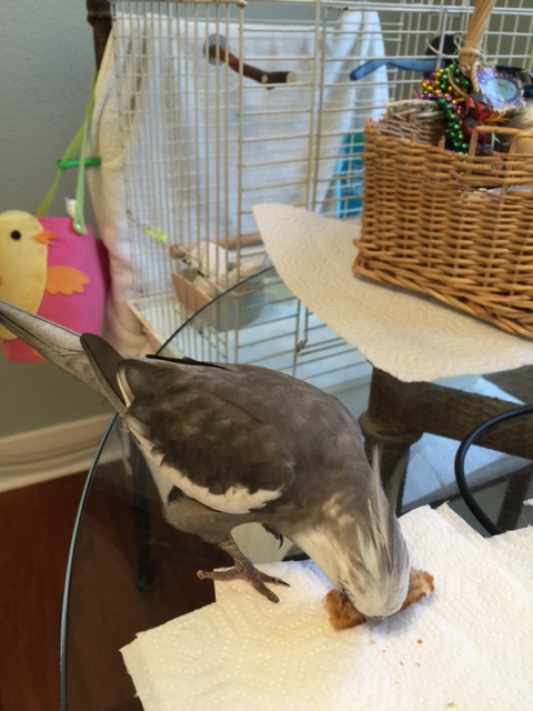 Look. It's an easy question. If I were you I'd answer "yes" - sounds better on a resume.