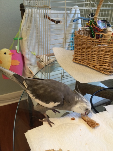 Okay, fine, wait a minute and I'll taste-test and tell you.