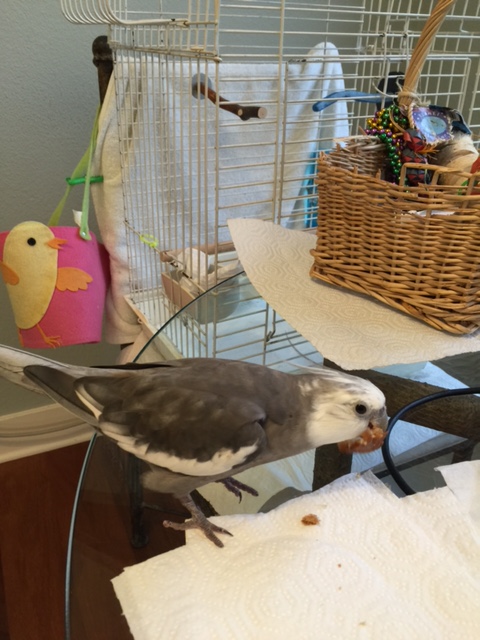 You have definite crunch, and a robust "toasted" flavor - that's a good thing.