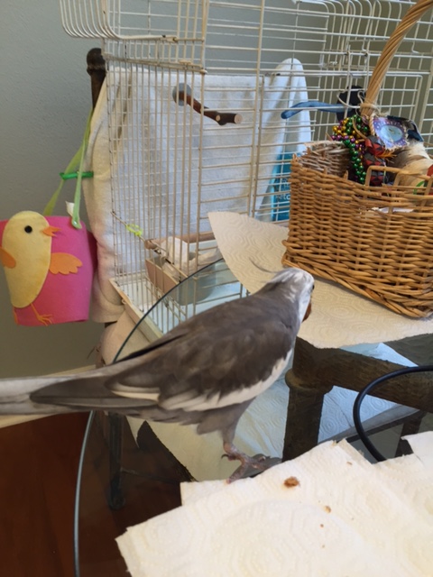 Plus you are light and portable - a good "to go" snack.